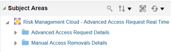 Risk Management Cloud > Advanced Access Request Real Timeサブジェクト領域