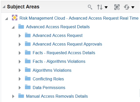 Risk Management Cloud > Advanced Access Request Real Time > Advanced Access Request Detailsサブジェクト領域