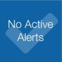 This figure shows the Enterprise Cash Management no active alerts icon.