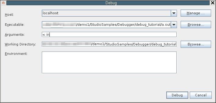 image:Debug Executable dialog box