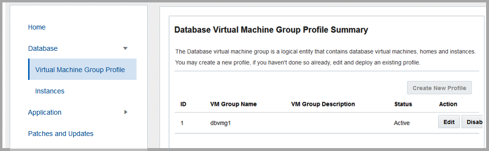 image:屏幕抓图中显示了 “Database Virtual Machine Group Summary“（数据库虚拟机组摘要）页面。
