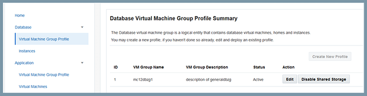 image:Captura de pantalla que muestra la pantalla de perfil de grupo de máquinas virtuales de base de datos.