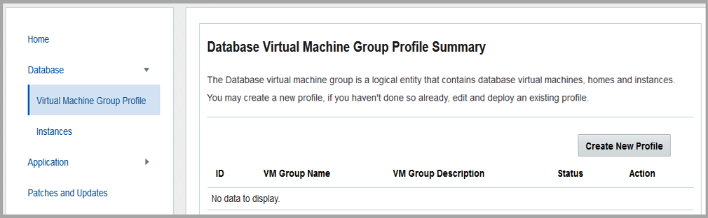 image:Captura de pantalla que muestra la página de perfil de grupo de máquinas virtuales de base de datos.