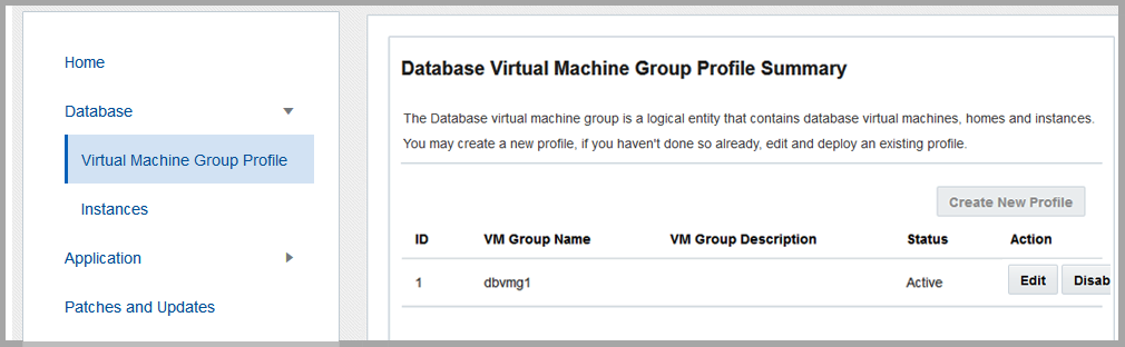 image:Captura de pantalla que muestra la página Resumen de grupo de máquinas virtuales de base de datos.