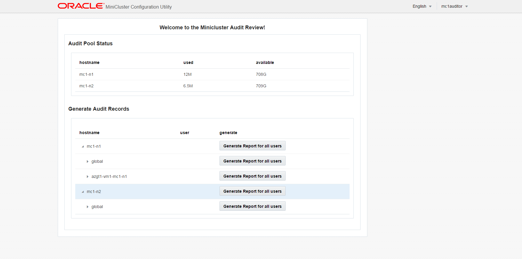 image:Screenshot che mostra la pagina dell'auditor.