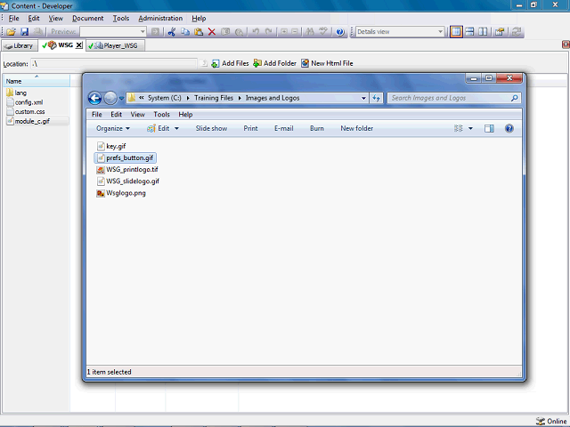 Screen image of this step