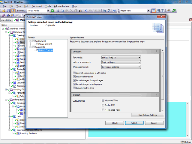 Screen image of this step