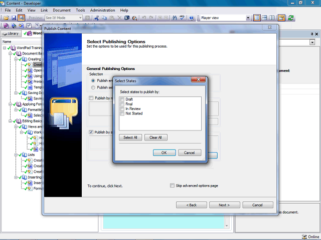 Screen image of this step