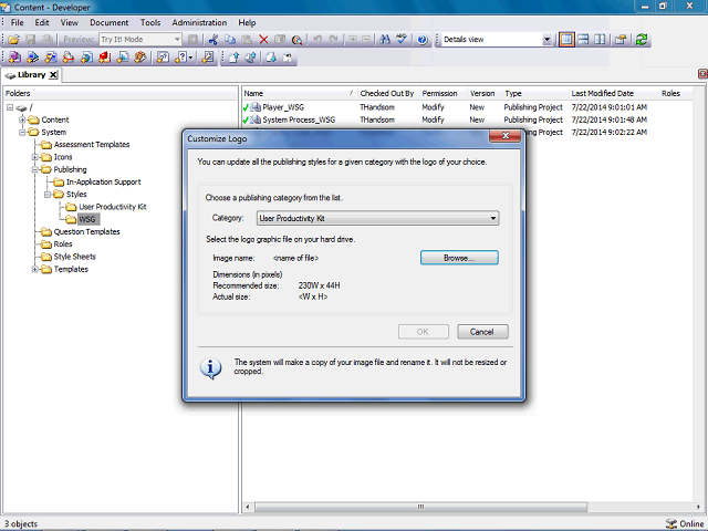 Screen image of this step