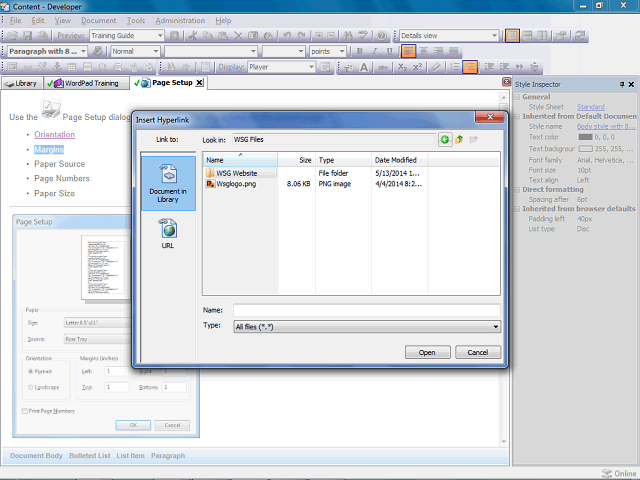 Screen image of this step