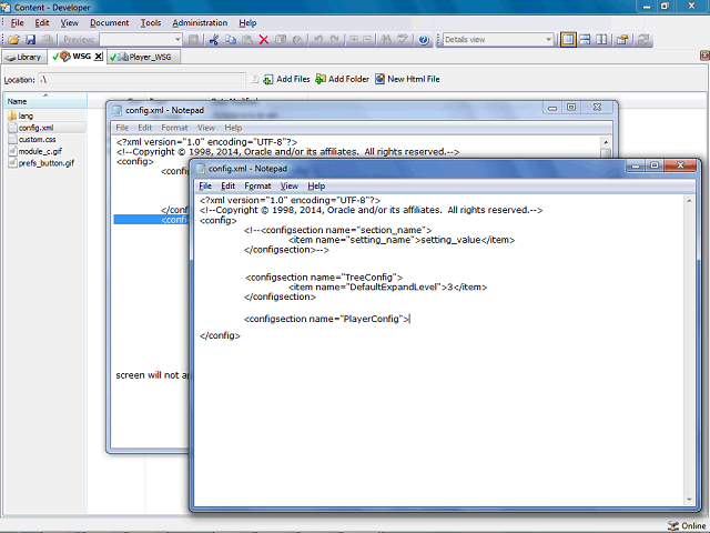 Screen image of this step