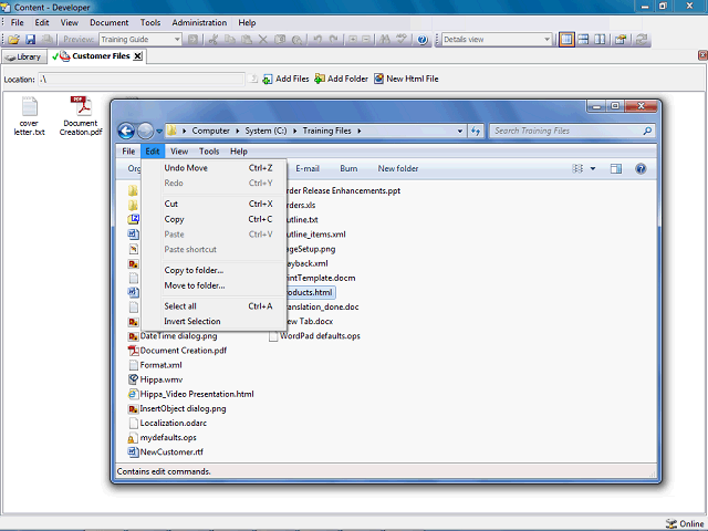 Screen image of this step