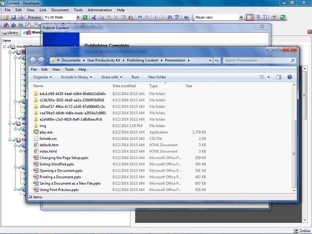 Screen image of this step