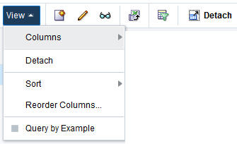 View Menu/Icons Results section