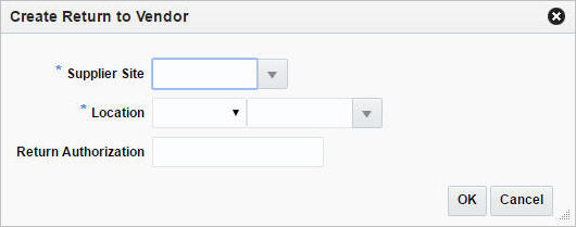 Create Return to Vendor Window