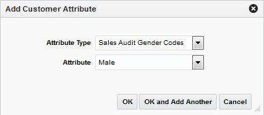 Add Customer Attribute Window