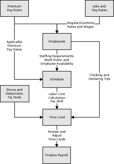 Payroll workflow and constraints.