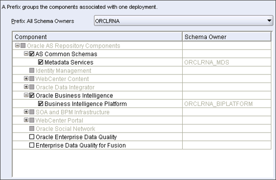 This screenshot shows the Metadata Services and the Business Intelligence Platform components selected. This screenshot shows the Metadata Services and the Business Intelligence Platform components selected.