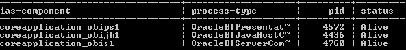 This image is a screenshot of the output of opmnctl status after installing a non-primary OBIEE server, with the three service components set to the Alive state. This image is a screenshot of the output of opmnctl status after installing a non-primary OBIEE server, with the three service components set to the Alive state.