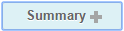 Show Summary button