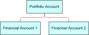 Portfolio Account and Financial Account Relationship