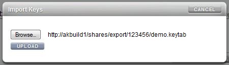image:업로드 버튼이 표시된 BUI 화면 이미지