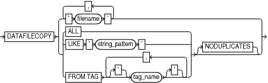 datafilecopyspec.epsの説明が続きます