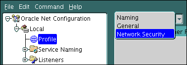 Description of netmgr_adv_sec.gif follows