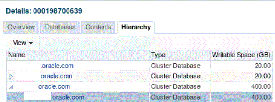 テスト・マスターおよびクローン・データベース
