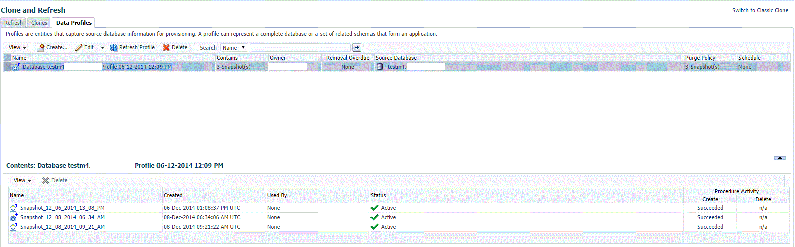 「データ・プロファイル」ページ