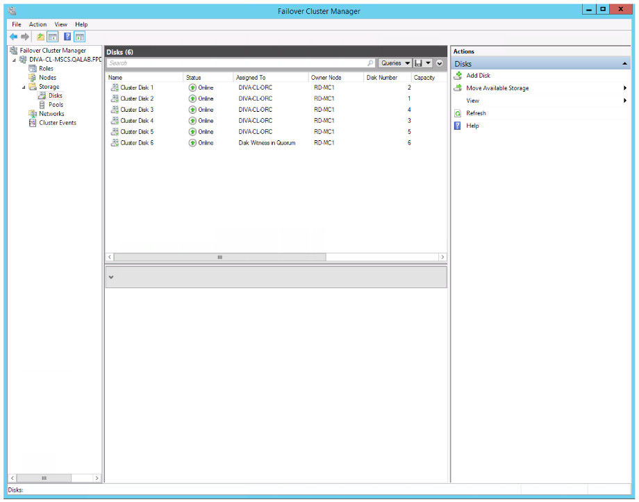 Gestor de clusters de failover: vista de discos