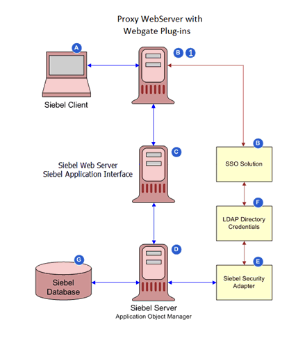 Web single sign-on authentication process.