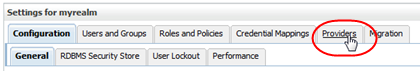 Settings control bar with the Providers tab selected