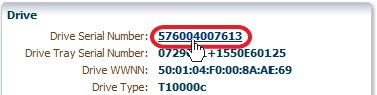 Detail View area with Drive Serial Number link highlighted.