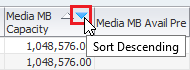 Sort Descending icon being clicked in column heading.