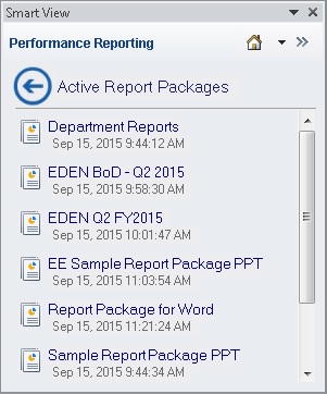Performance Reporting Home panel, displaying list of active report packages.