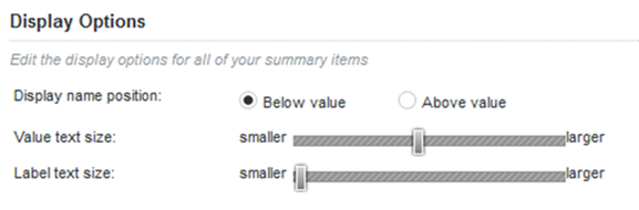 Display Options tab of the Summarization Bar edit view
