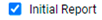 Initial Report