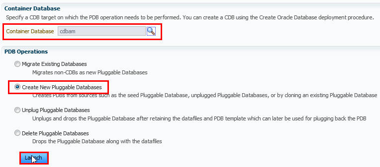 Provision Pluggable Database Console