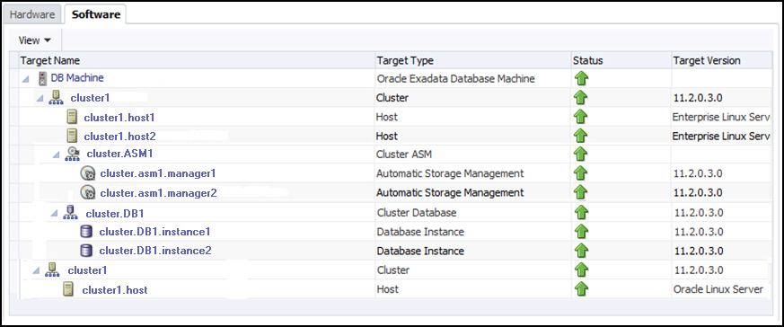 Exadata Database Machine Software Tab