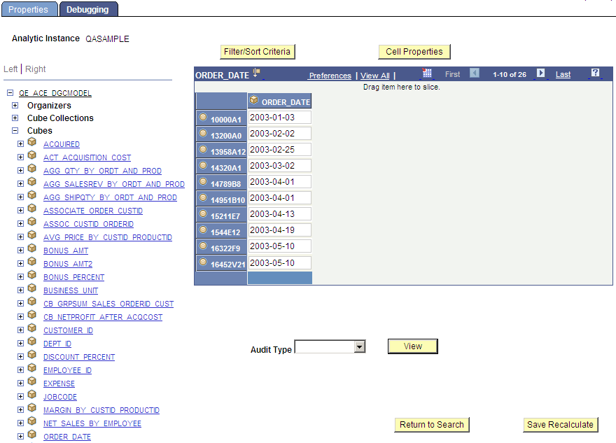 Analytic Model Viewer - Debugging page, Data Cube panel