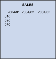 SALES data cube with attached PRODUCT_CODES and MONTHS dimensions