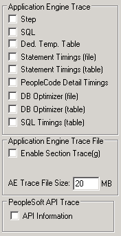 Application Engine Trace check boxes and file size