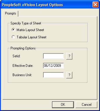 PeopleSoft nVision Layout Options dialog box