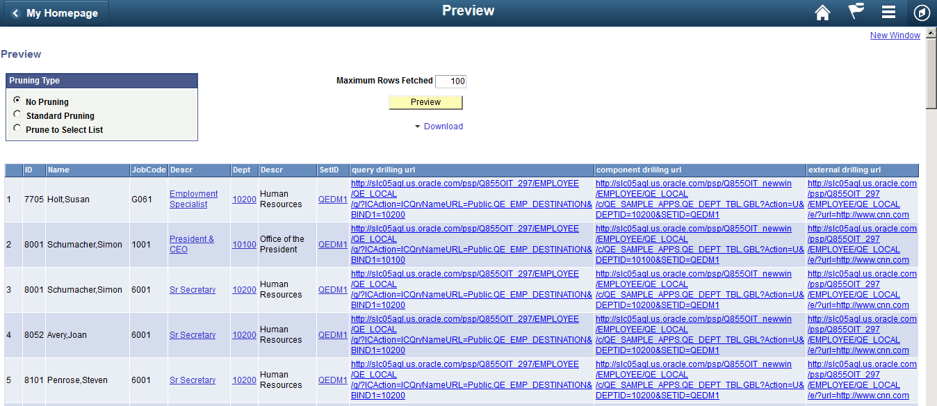 Composite Query Preview page