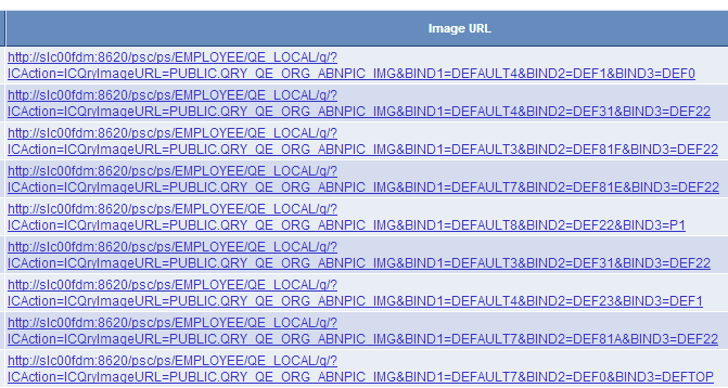 Example of the Run page with query results as image links