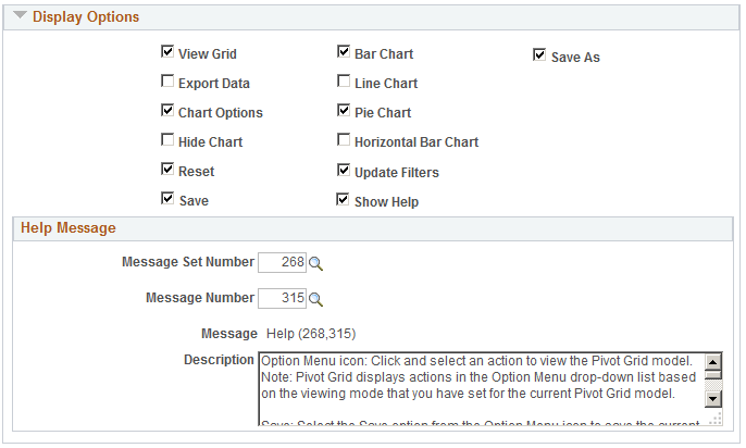 Display Options section - some options are deselected