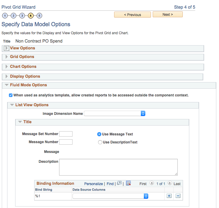 Pivot Grid Wizard - step 4 - Fluid Options