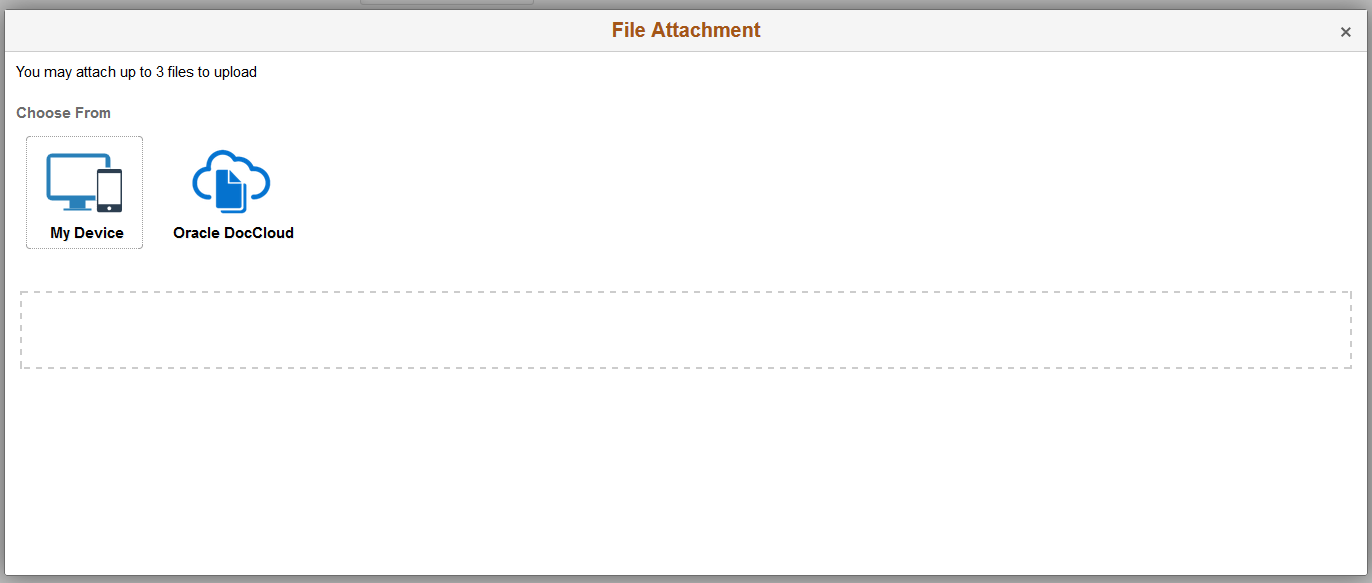 Example of File Attachment window
