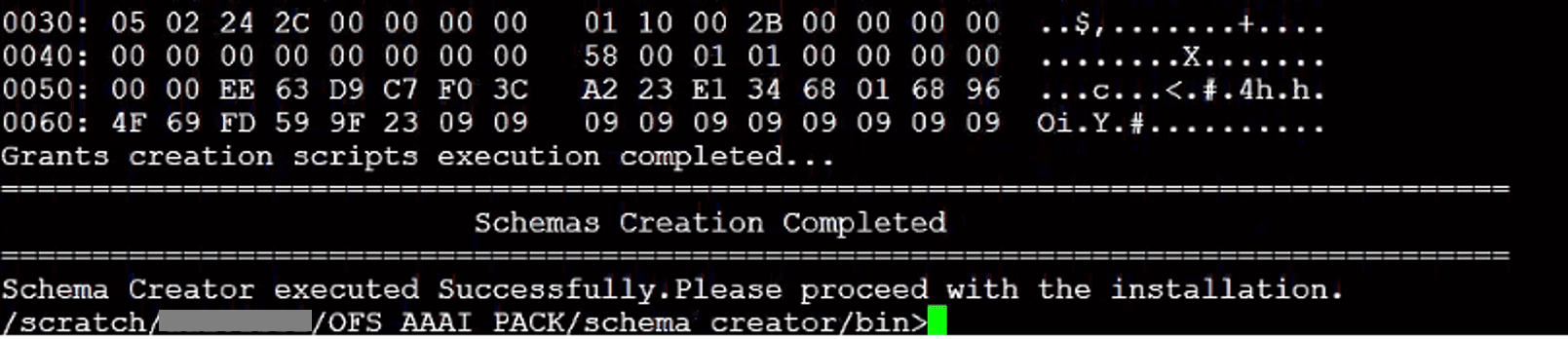 Title: Description of the successful Schema creation in the TCPS mode follows - Description: This illustration shows the successful Schema creation in the TCPS mode.